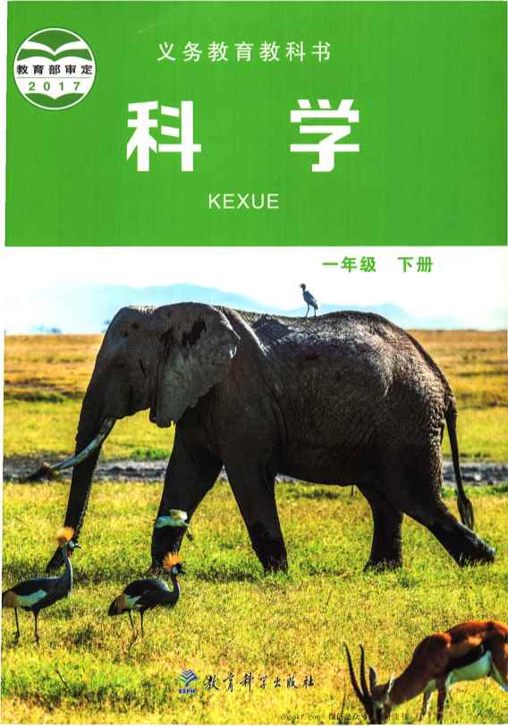 一年级下册科学教科版电子课本