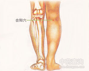 合阳穴位