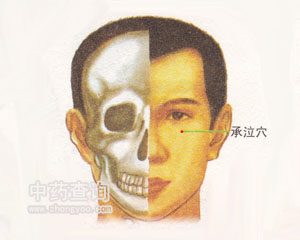 人体穴位 :承泣 承泣穴位