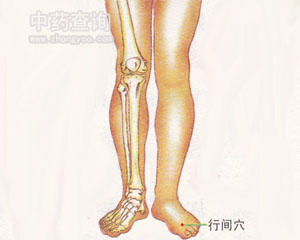 人体穴位 :行间