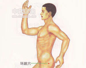 环跳穴位