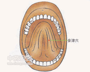 金津穴位
