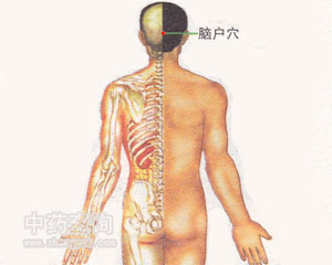脑户穴位