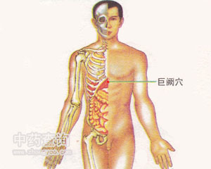 人体穴位 :巨阙 巨阙穴位