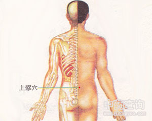 人体穴位 :上髎 上髎穴位