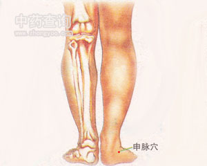 人体穴位 :申脉 申脉穴位