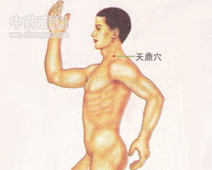 人体穴位 :天鼎