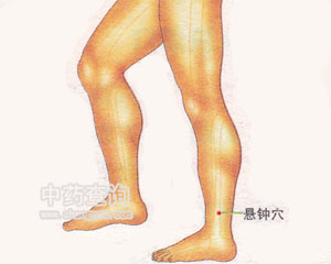 人体穴位 :悬钟 悬钟穴位