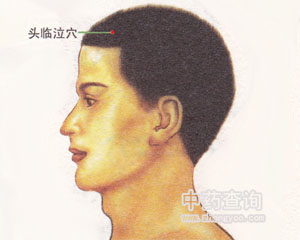 头临泣穴位