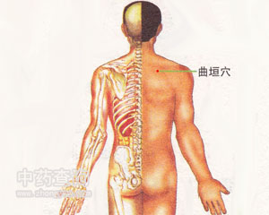 曲垣穴位
