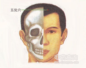 人体穴位 :五处