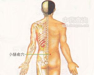 小肠俞穴位