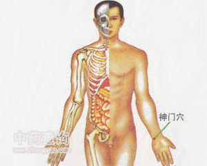 神门穴位