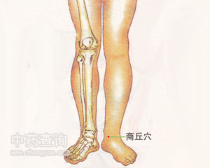 人体穴位 :商丘