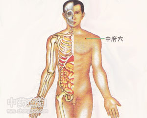 人体穴位 :中府 中府穴位
