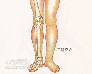 三阴交穴位