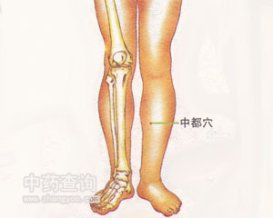 中都穴位