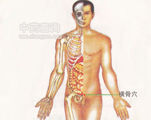 横骨穴位