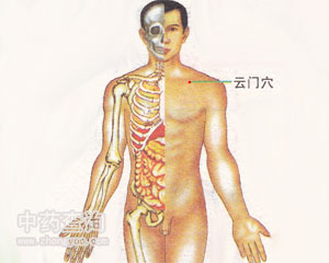 云门穴位