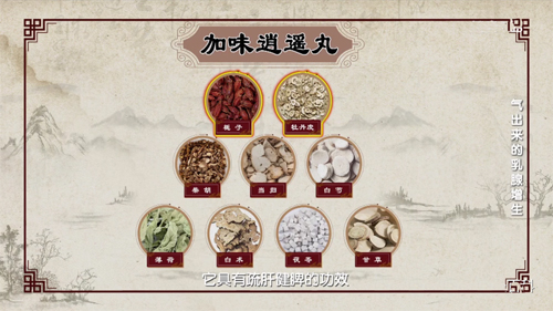 巧用穴位和中药来调理乳腺增生