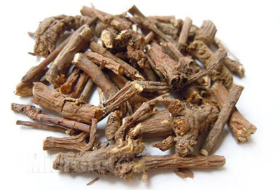 临床上常用于相配的升阳风药