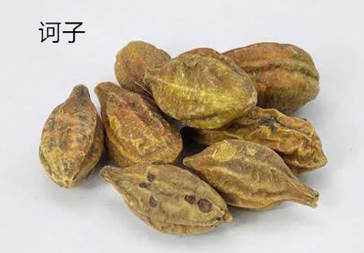 怎样祛除肺部寒气？
