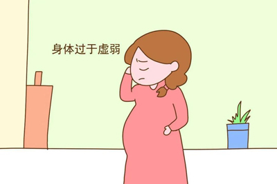 老年人补虚第一方