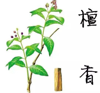 三味中药消瘀血