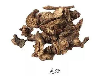 羌活、茯苓、薏苡仁，可舒筋、止痛，治头眩目昏、浮肿