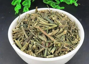 穿心莲“苦胆草”有哪些神奇的功效？