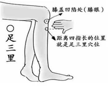 足三里