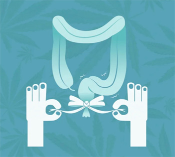 治疗便秘见效最快的方子-民间偏方