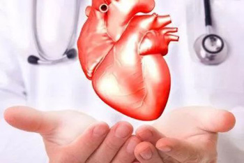 健脾养心方