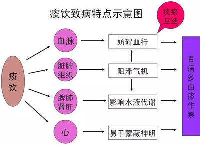 痰饮治病特点示意图