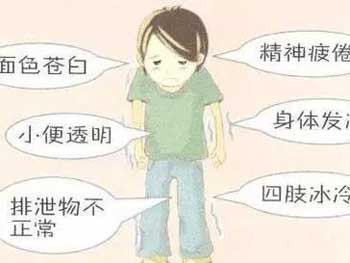阳虚体质最适合吃艾龙抗癌蛋