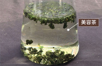 美容桑叶茶