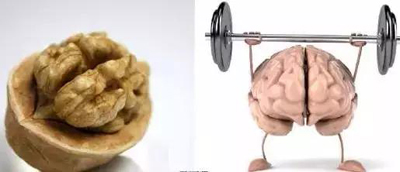 核桃