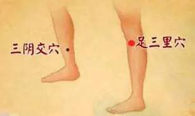 足三里、三阴交