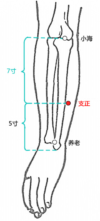 足阳明胃经之丰隆穴