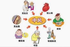 治疗中风及中风后遗症验方