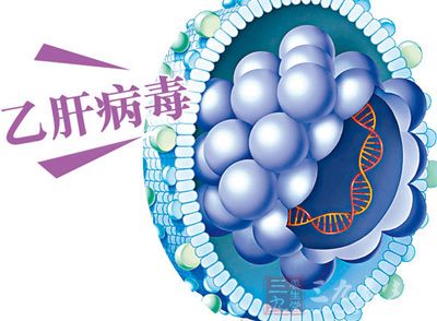 治乙肝偏方